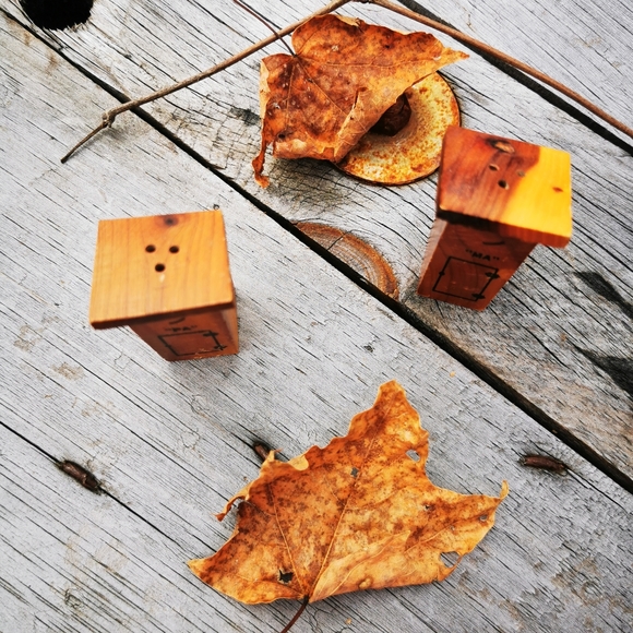 Vintage Ma and Pa Wooden Outhouse Salt and Pepper Shakers - Picture 13 of 15